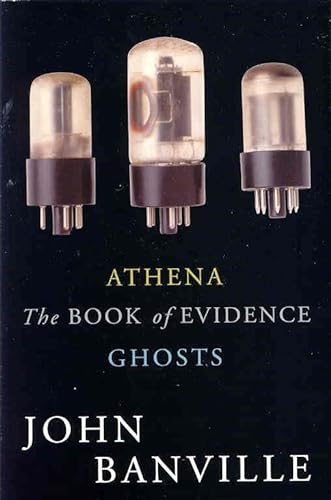 Imagen de archivo de The Book of Evidence a la venta por Better World Books Ltd