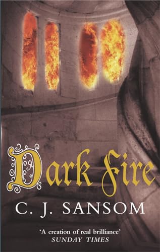 Imagen de archivo de Dark Fire a la venta por Blue Vase Books