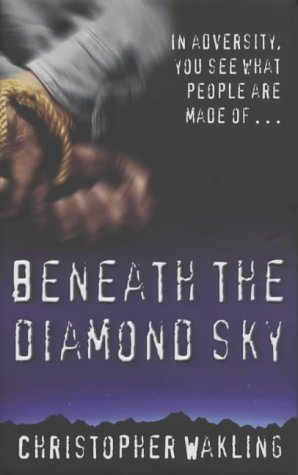 Beispielbild fr Beneath the Diamond Sky zum Verkauf von WorldofBooks