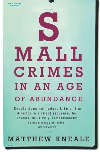 9780330435352: Small Crimes in an Age of Abundance