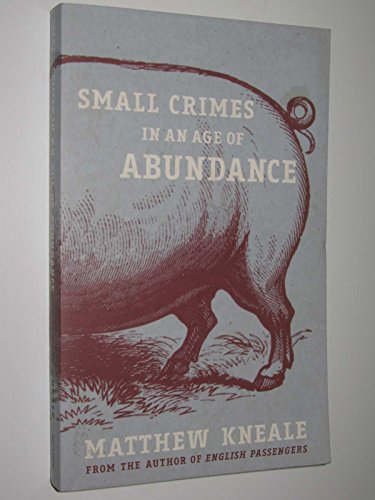 Imagen de archivo de Small Crimes in an Age of Abundance a la venta por AwesomeBooks