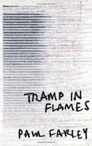 Beispielbild fr Tramp in Flames zum Verkauf von Wonder Book