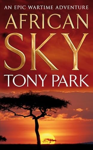 Beispielbild fr African Sky zum Verkauf von Wonder Book