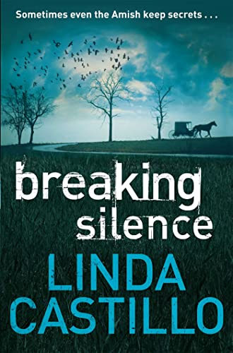 Stock image for Breaking Silence for sale by WorldofBooks