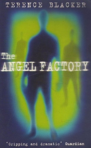 Beispielbild fr The Angel Factory zum Verkauf von WorldofBooks