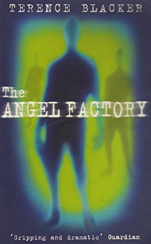 Stock image for The Angel Factory for sale by WorldofBooks