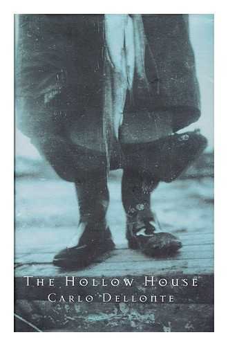 9780330480482: The Hollow House