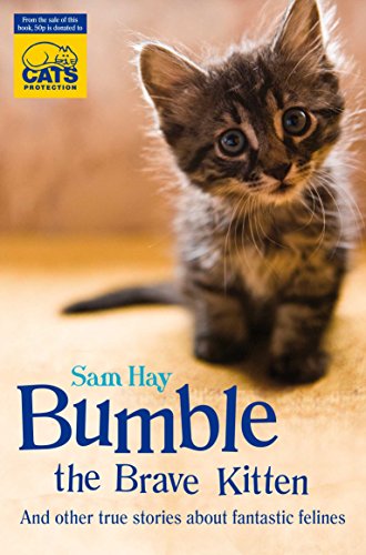 Imagen de archivo de Bumble the Brave Kitten: In association with Cats Protection a la venta por AwesomeBooks