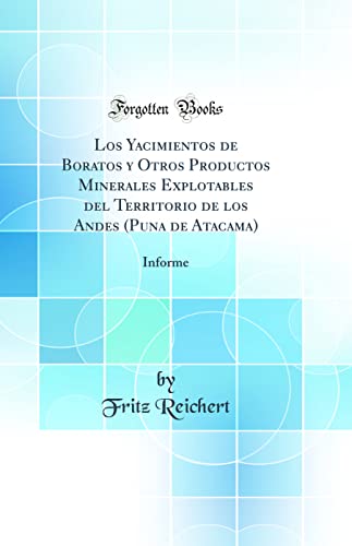 Imagen de archivo de Los Yacimientos de Boratos y Otros Productos Minerales Explotables del Territorio de los Andes (Puna de Atacama): Informe (Classic Reprint) a la venta por PBShop.store US