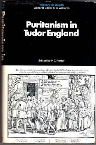 Imagen de archivo de Puritanism in Tudor England (History in depth) a la venta por Phatpocket Limited