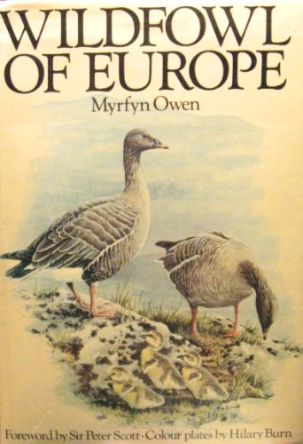 Stock image for Wildfowl of Europe for sale by WorldofBooks
