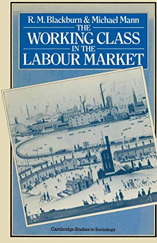 Stock image for The Working Class in the Labour Market for sale by Willis Monie-Books, ABAA