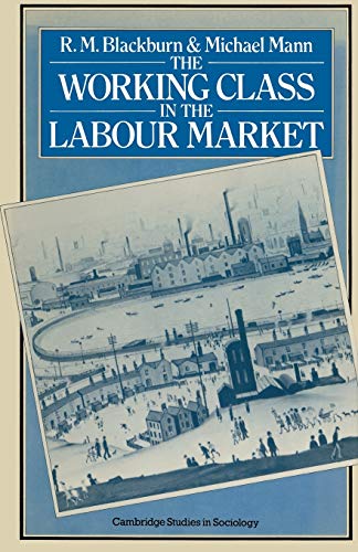9780333243268: The Working Class in the Labour Market (Cambridge Studies in Sociology)