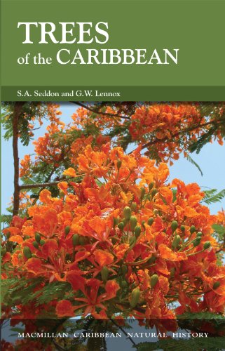 Stock image for Trees of the Caribbean (Caribbean Pocket Natural History Series) for sale by SecondSale