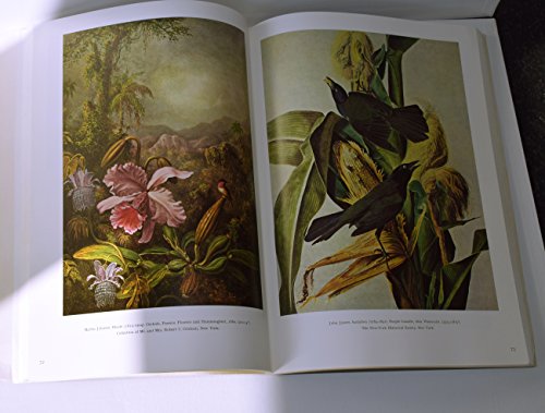 Imagen de archivo de American Painting: Colonial Tradition v. 1 a la venta por Kennys Bookshop and Art Galleries Ltd.
