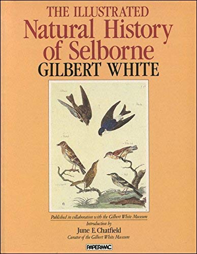 Beispielbild fr The Illustrated Natural History of Selborne zum Verkauf von WorldofBooks