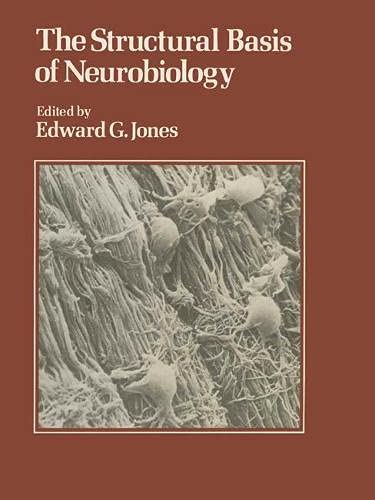 9780333365076: The Structural Basis of Neurobiology