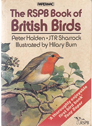 Stock image for Papermac;Rspb Bk-British Birds for sale by AwesomeBooks