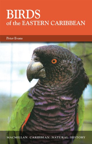 Beispielbild fr Birds of the Eastern Caribbean (Caribbean Pocket Natural History) zum Verkauf von Decluttr