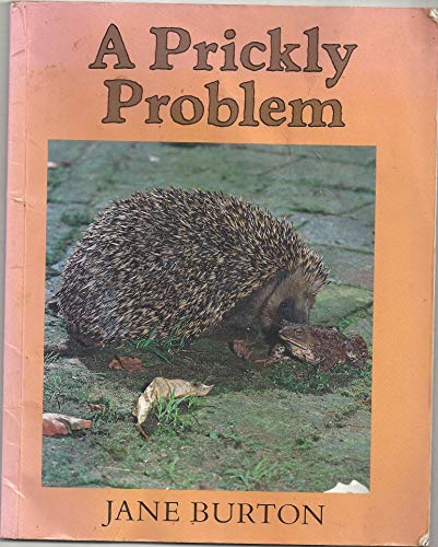 A Prickly Problem (Lost & Found) (9780333592519) by Jane Burton