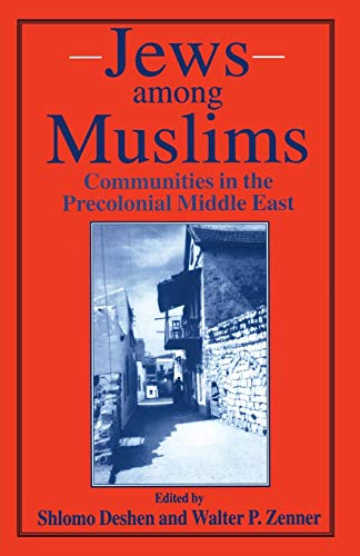 9780333626566: Jews among Muslims: Communities in the Precolonial Middle East