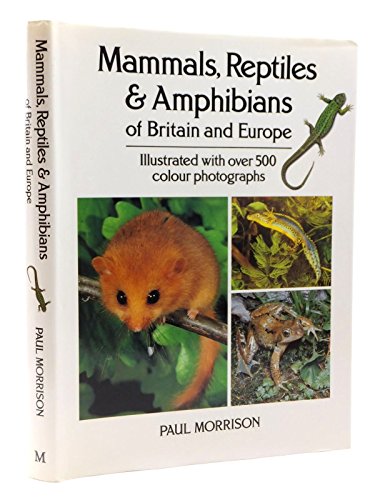 Beispielbild fr Mammals, Reptiles and Amphibians of Britain and Europe zum Verkauf von WorldofBooks