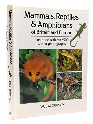 Mammals, Reptiles and Amphibians of Britain and Europe - Morrison, Paul