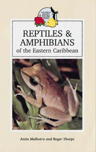 Stock image for Reptiles and Amphibians of the Eastern Caribbean (Caribbean Pocket Natural History S.) for sale by WorldofBooks