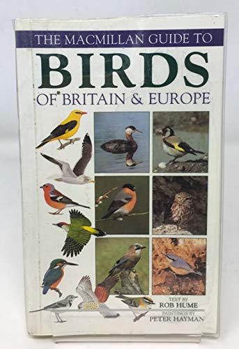 Imagen de archivo de Macmillan Bird Guide (Ted Smart) a la venta por Librairie Th  la page