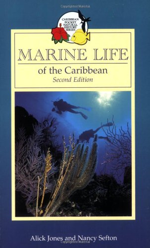 Stock image for Marine Life of the Caribbean for sale by ThriftBooks-Atlanta