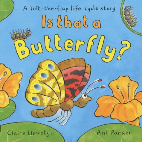 Is That a Butterfly?: A Lift-The-Flap Life Cycle Story (9780333962268) by Claire Llewellyn