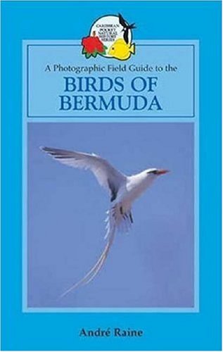 Stock image for A Field Guide to the Birds of Bermuda for sale by Mainly Books