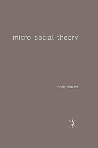 Micro Social Theory (Traditions in Social Theory, 11) (9780333995693) by Roberts, Brian