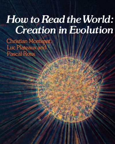 Beispielbild fr How to Read the World: Creation in Evolution zum Verkauf von Amazing Books Pittsburgh