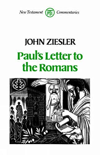 9780334022961: Paul's Letter to the Romans (New Testament commentaries)