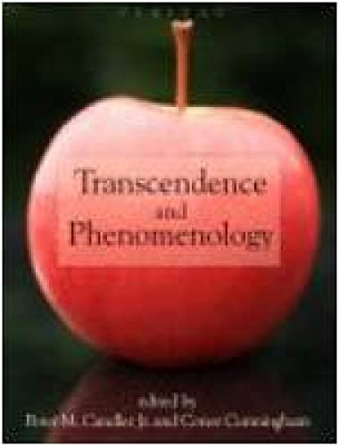 9780334041511: Transcendence and Phenomenology