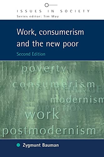 9780335215980: Work, Consumerism and the New Poor (Issues in Society)