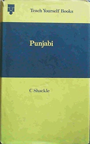 9780340124642: Punjabi (Teach Yourself)