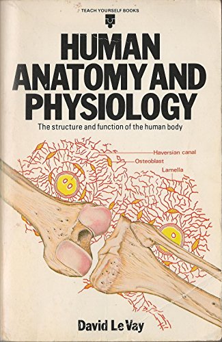 Beispielbild fr Human Anatomy and Physiology (Teach Yourself) zum Verkauf von WorldofBooks