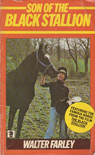 9780340173619: Son of the Black Stallion: 3 (Knight Books)