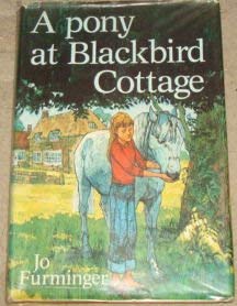 9780340196489: Pony at Blackbird Cottage