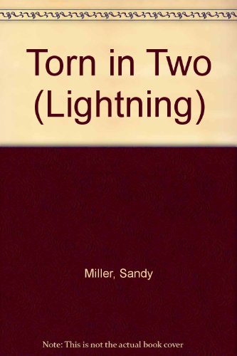 Beispielbild fr Torn in Two (Lightning) zum Verkauf von biblion2