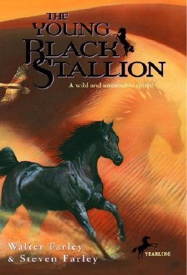 9780340537657: The Young Black Stallion