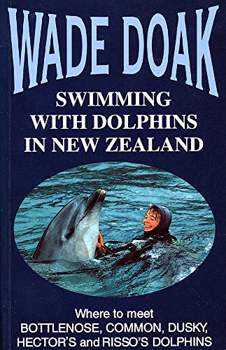 Swimming with dolphins in New Zealand