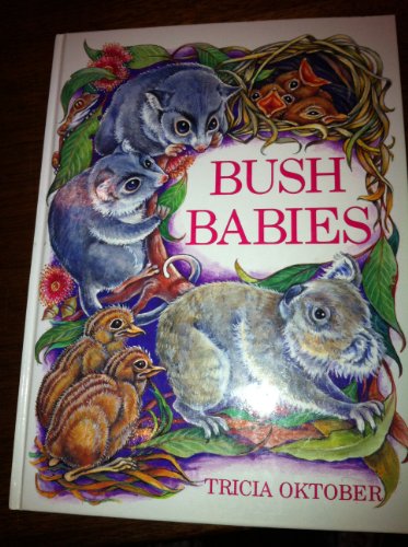 Stock image for Bush Babies for sale by WorldofBooks