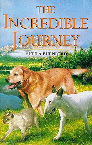 9780340626658: The Incredible Journey