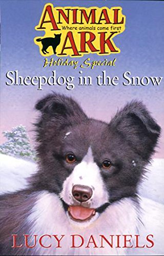 Stock image for Animal Ark Christmas Special 1: Sheepdog in the Snow for sale by Reuseabook