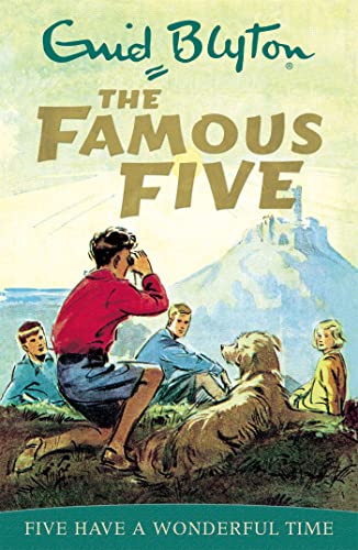 Imagen de archivo de Five Have a Wonderful Time (Famous Five) a la venta por Your Online Bookstore