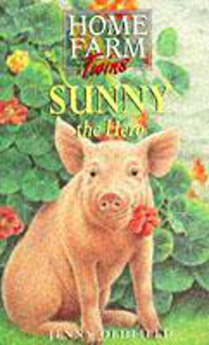 Beispielbild fr Sunny The Hero: 25 (Home Farm Twins) zum Verkauf von WorldofBooks