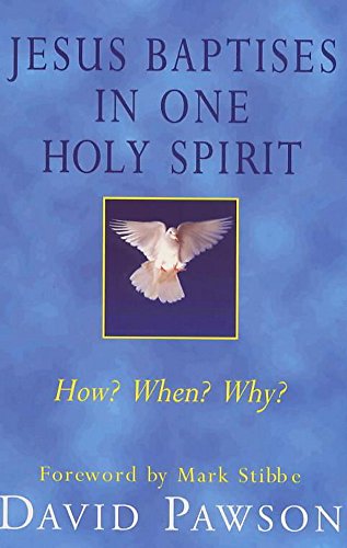 Stock image for Jesus Baptises in One Holy Spirit: When?, How?, Why?, Who? for sale by WorldofBooks